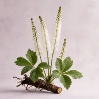 Black Cohosh