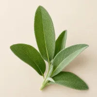 Sage